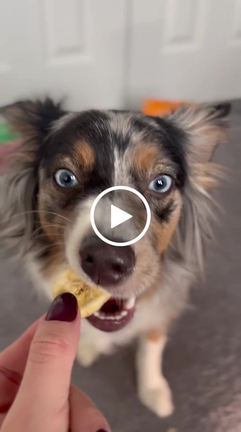 Customer video review of Banana Chips
