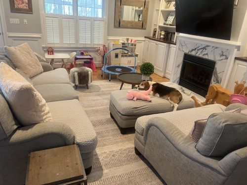 Customer photo review of Mojave Lines Desert Beige Rug