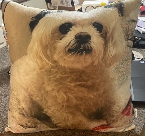 Customer photo review of Create A Custom Dog Pillow
