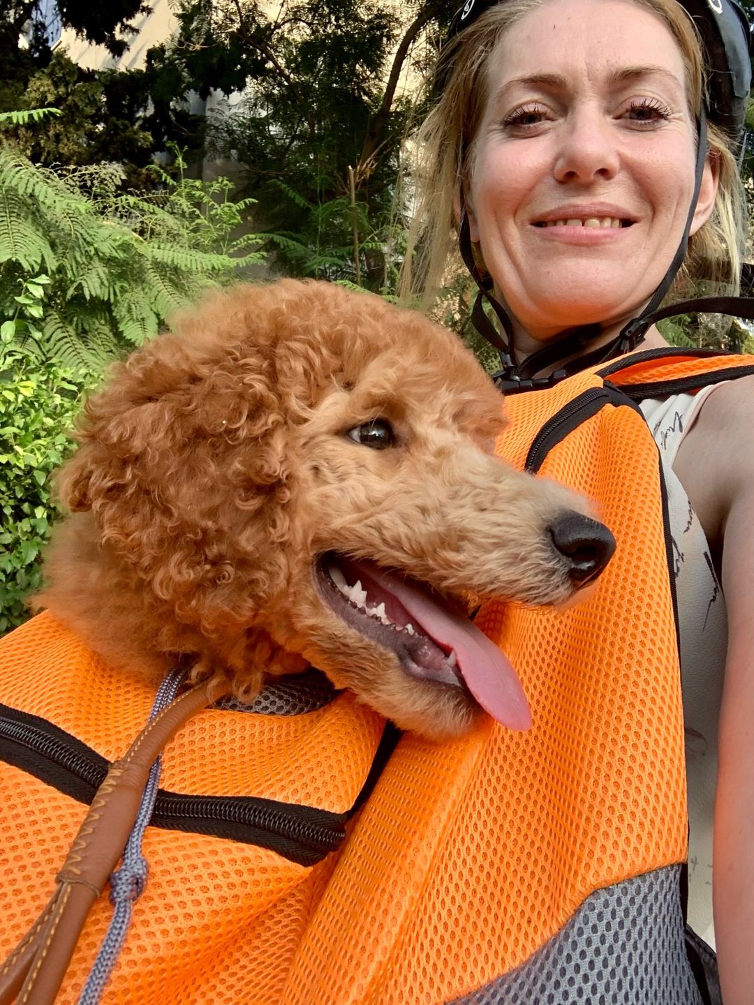 Customer photo review of Fur Sport™ - Pet Backpack Carrier