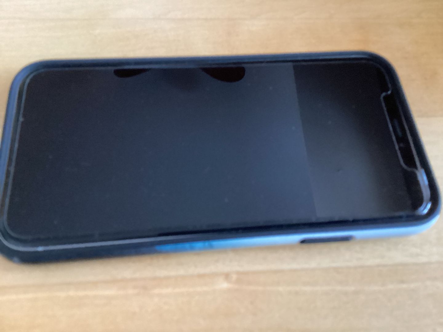 Customer photo review of Screen Protector