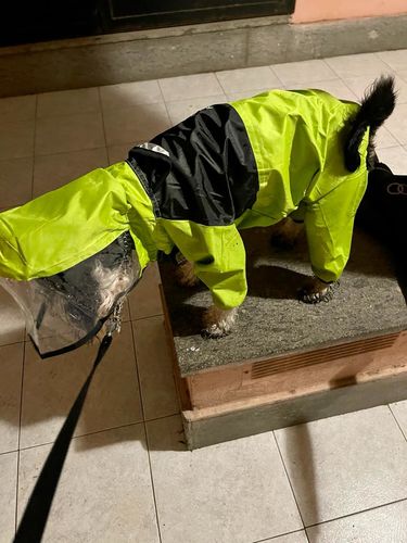 Customer photo review of Impermeabile "The Dog Face" Verde
