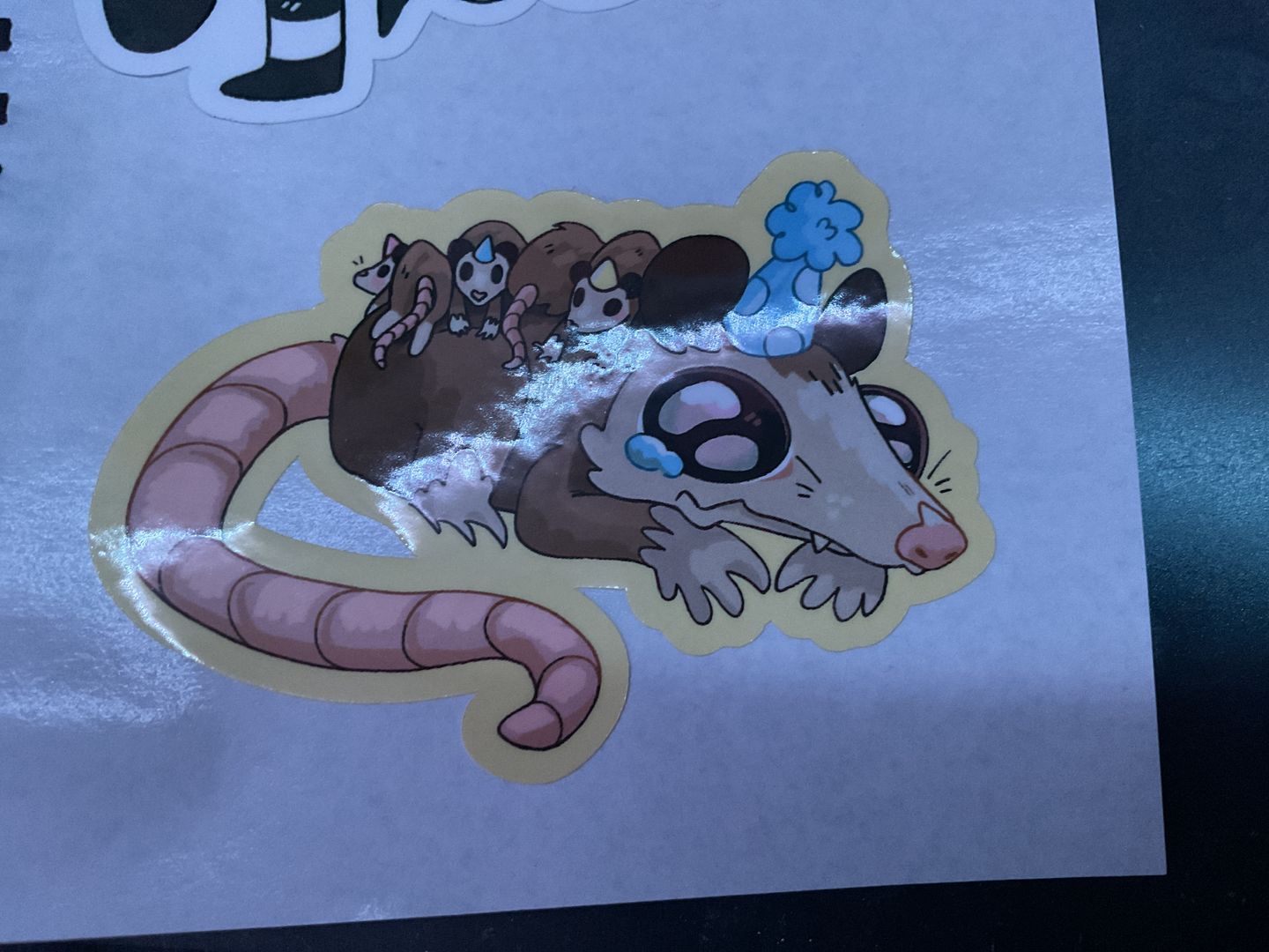 Customer photo review of Sad Party Opossum Stickers!