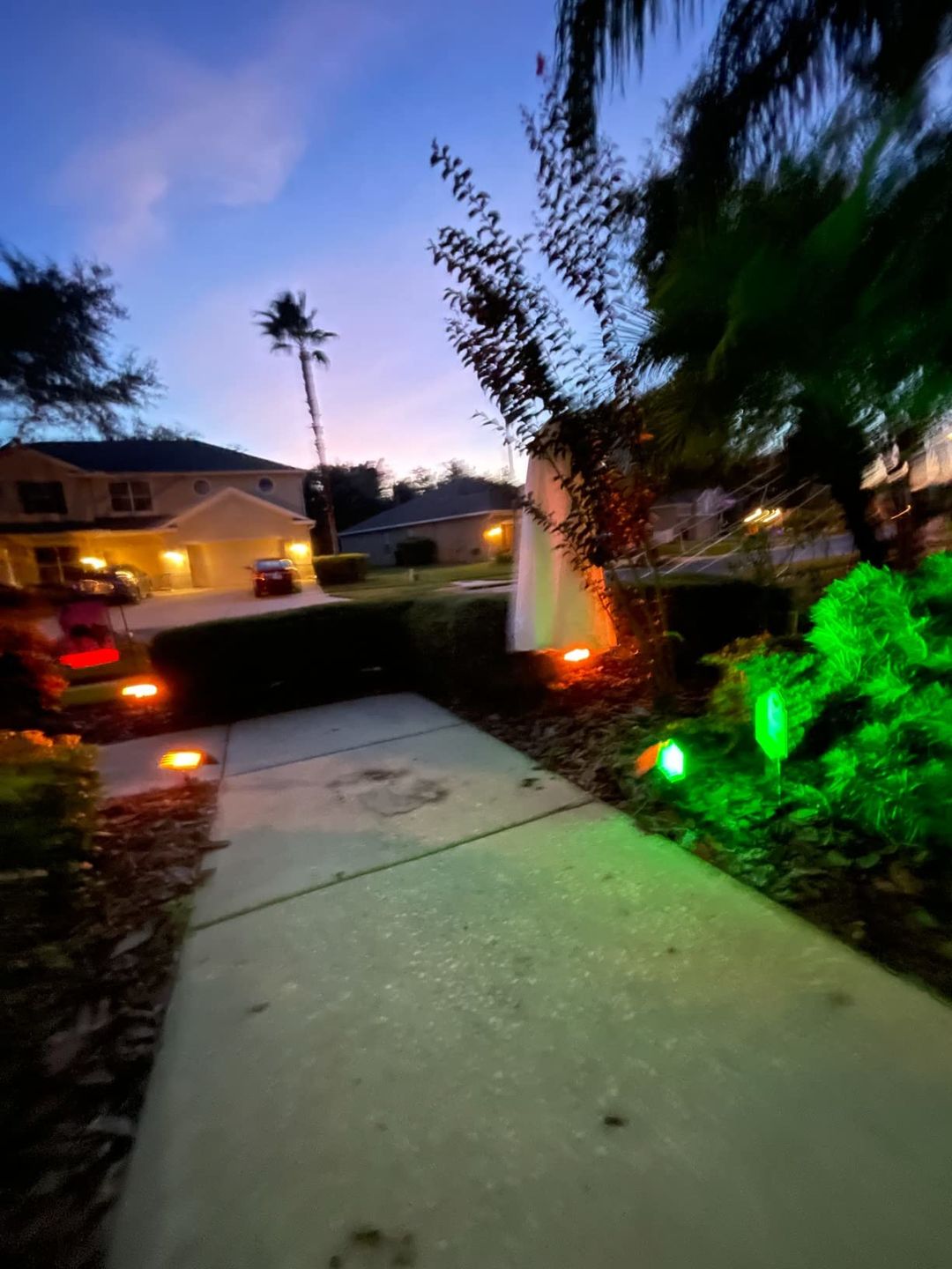 Customer photo review of TSUN Solar Spotlights For Trees Cool White
