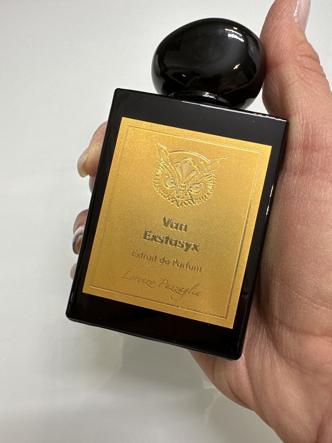 Customer photo review of LORENZO PAZZAGLIA - VAN EXSTASYX