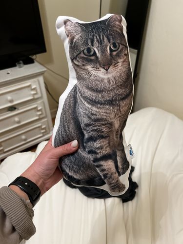 Customer photo review of Create A Custom Cat Pillow