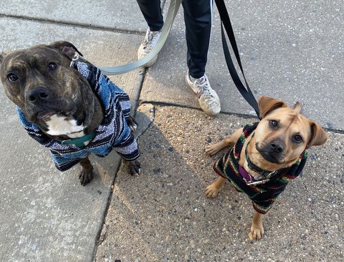 Customer photo review of Playa Poncho - Surprise Color