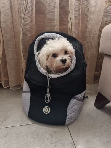 Customer photo review of Fur Sport™ - Pet Backpack Carrier