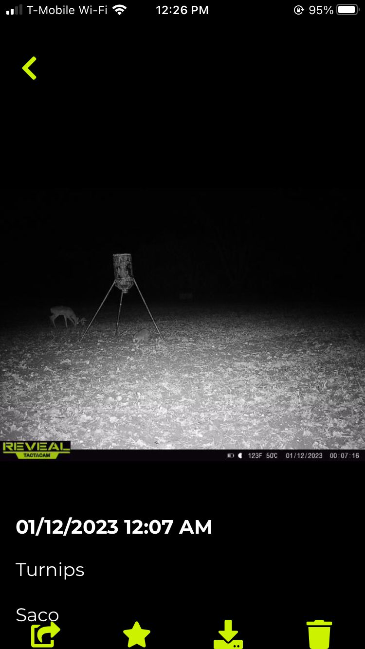 Customer photo review of Game Feeder Kit
