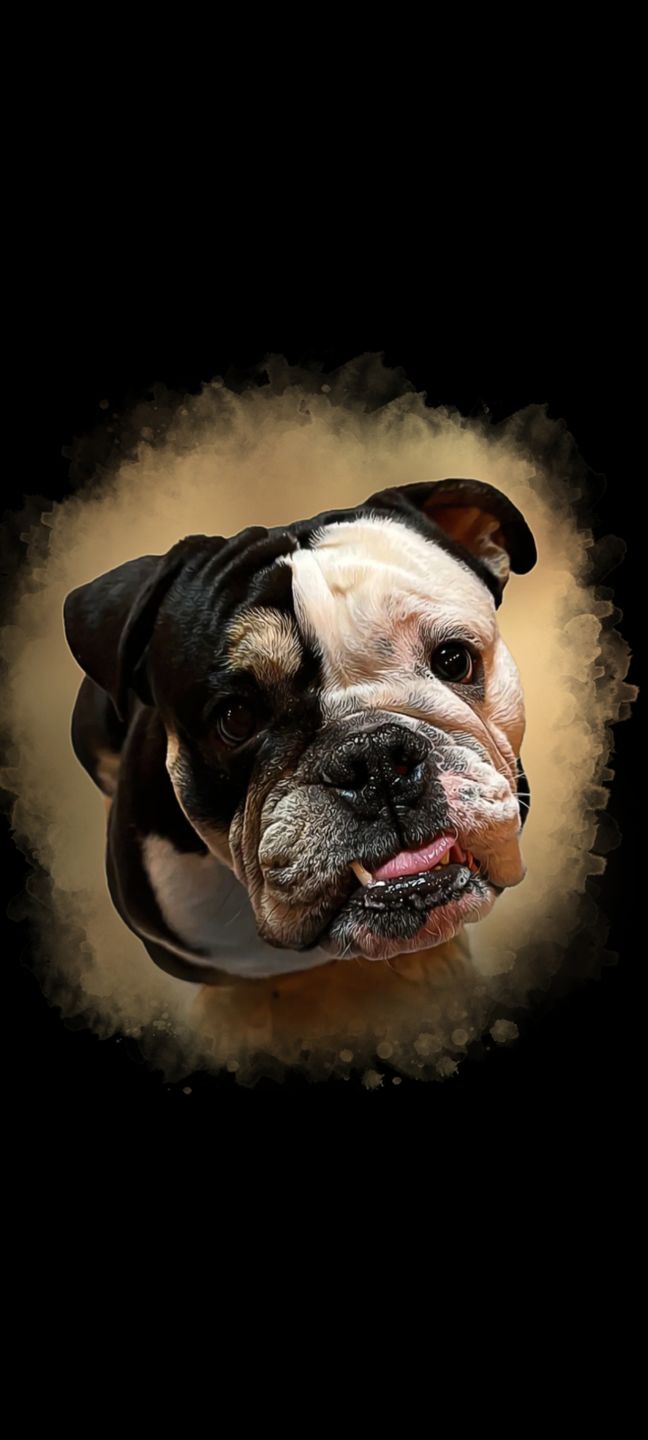 Customer photo review of Portrait deines Tieres im Wasserfarben-Stil