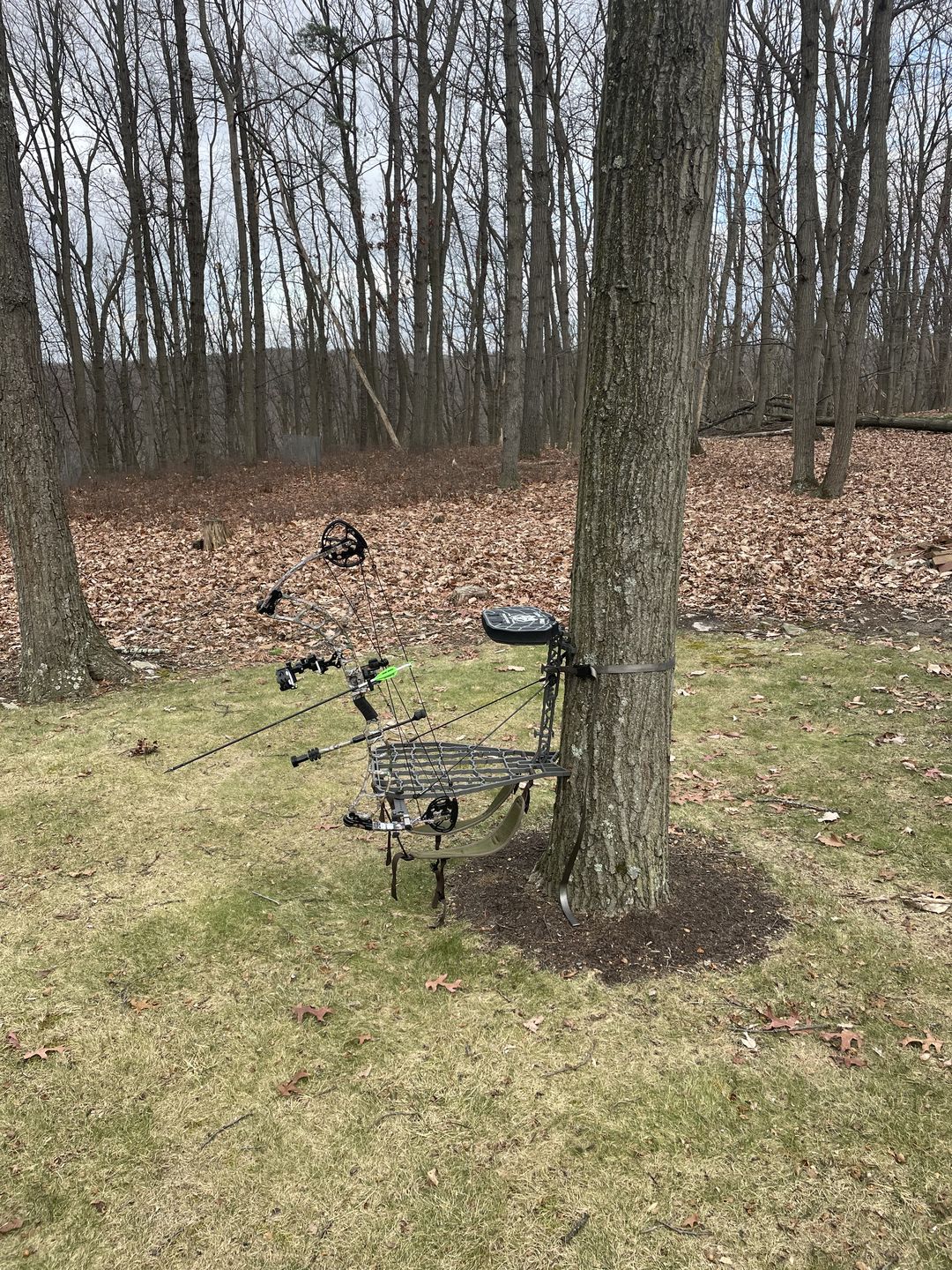 Customer photo review of D'Acquisto Series Hang-On .75