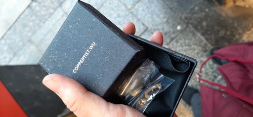 Customer photo review of Ouroboros Earrings