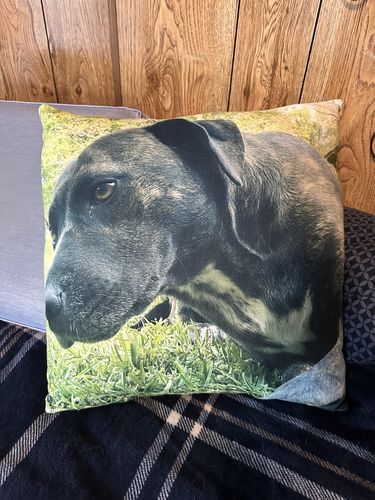 Customer photo review of Create A Custom Animal Pillow