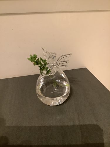 Customer photo review of Mon grand ange gardien