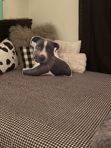 Customer photo review of Create A Custom Dog Pillow