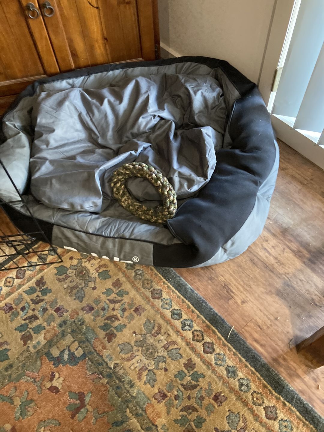 Customer photo review of PaWz waterproof heavy-duty bed
