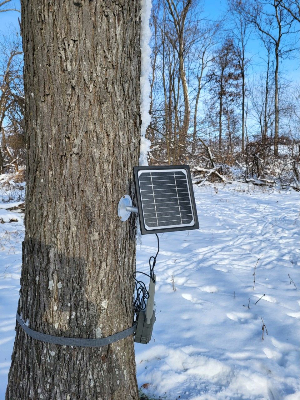 Customer photo review of Trail Cams Galore Solar Panel with 5V/12V Output Voltage