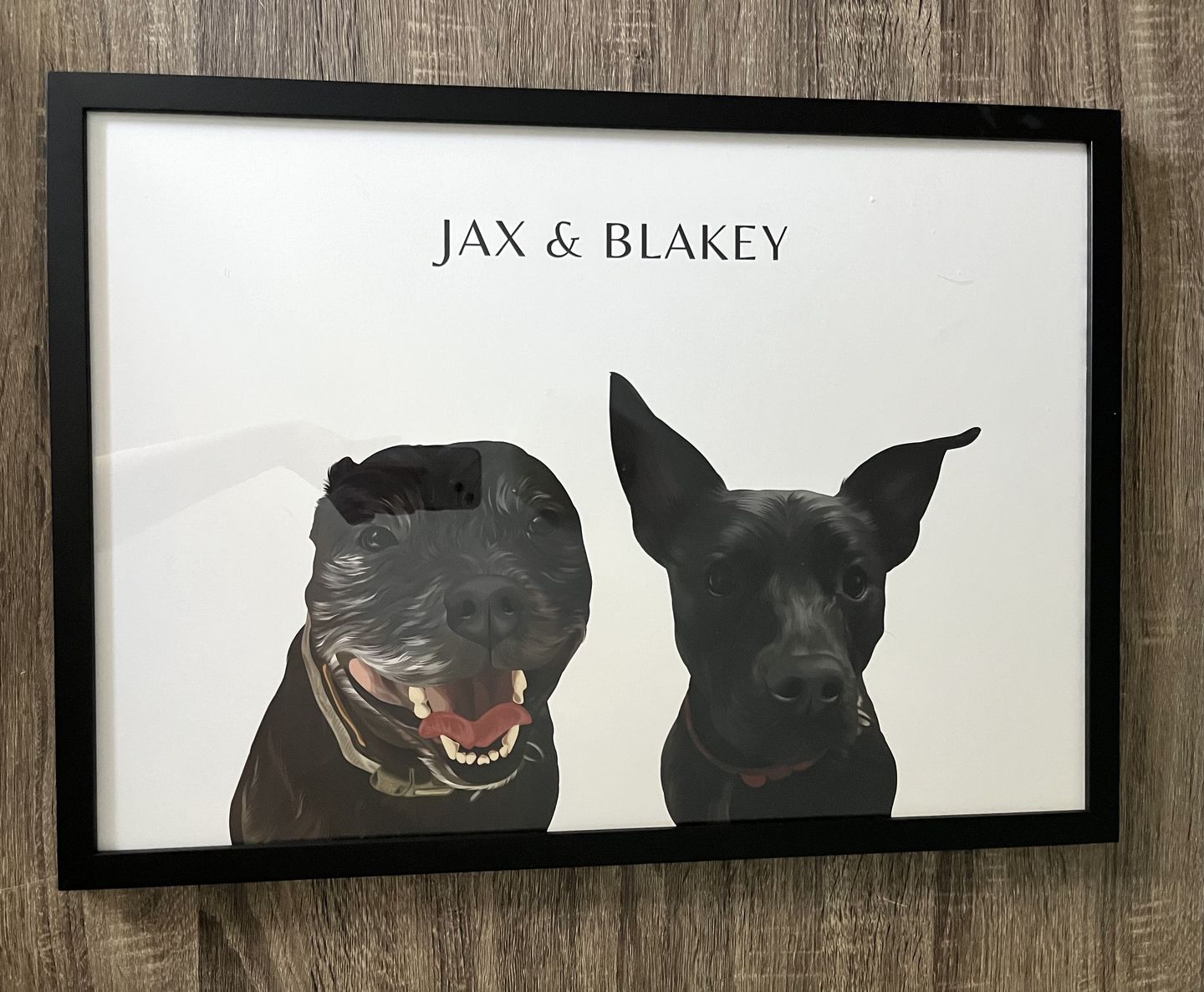 Customer photo review of Two-Pet Portrait