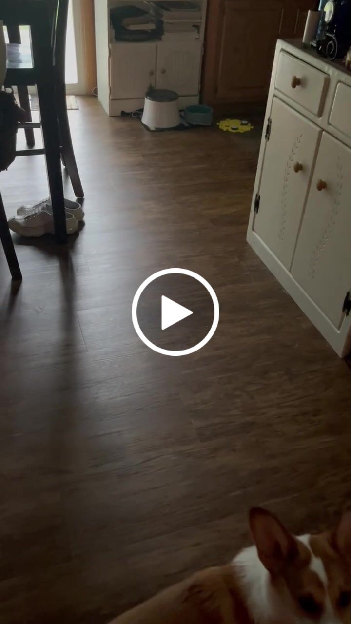 Customer video review of Speak Up Button Multi-Packs