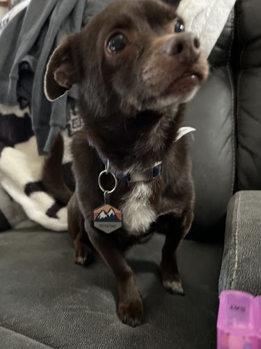 Customer photo review of Explorer