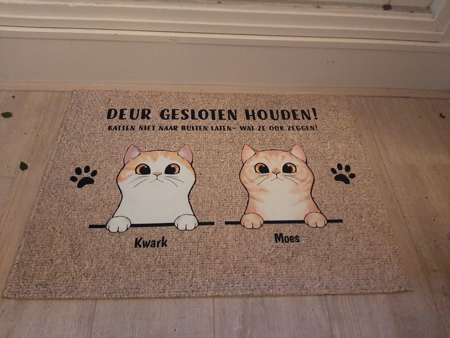 Customer photo review of Welkom bij nieuwsgierige katten - Gepersonaliseerde deurmat