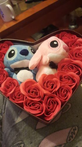 Customer photo review of Lilo Stitch Plush Rose Bouquet Box