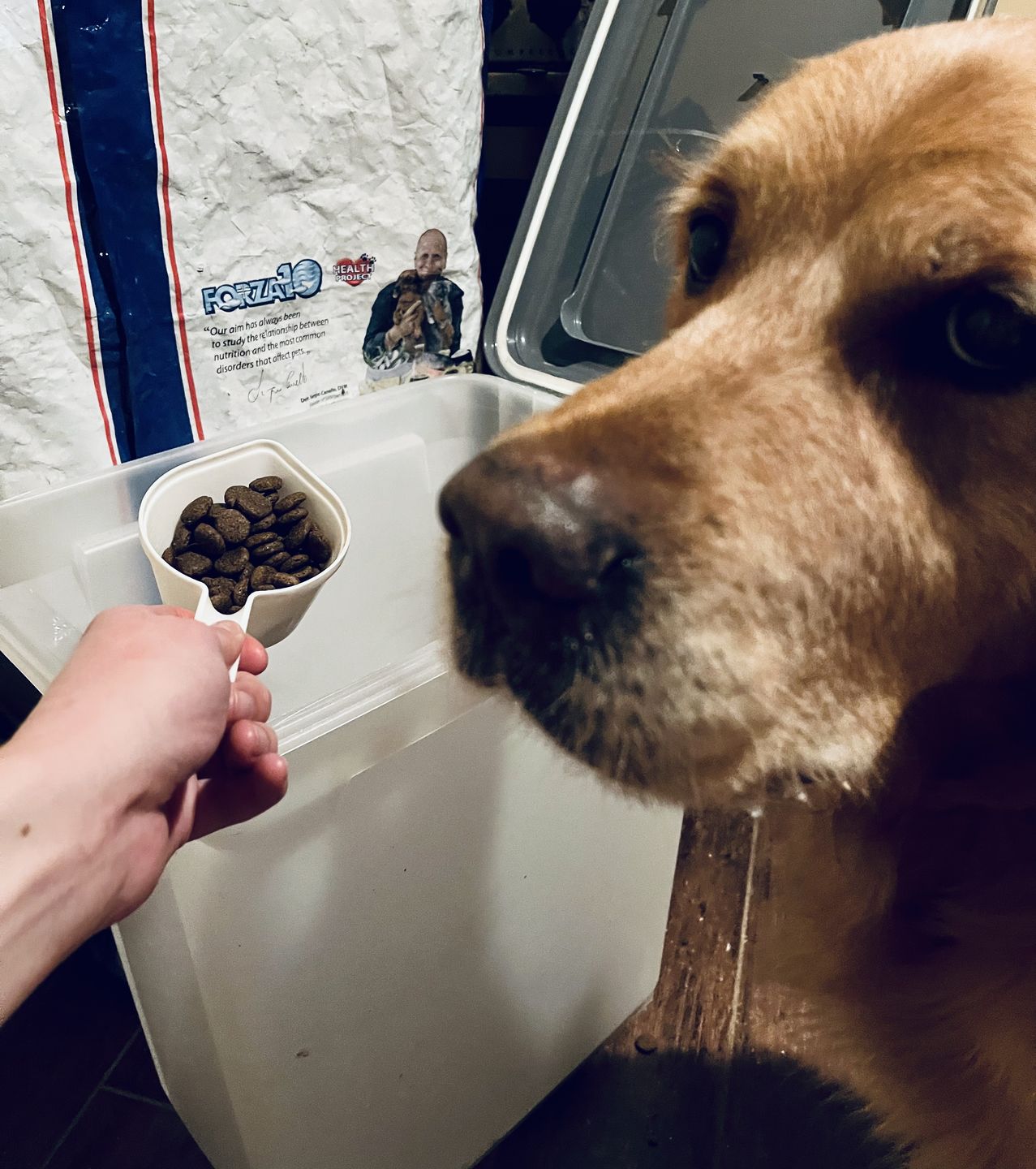 Customer photo review of Best Breeders LEGEND All Breeds