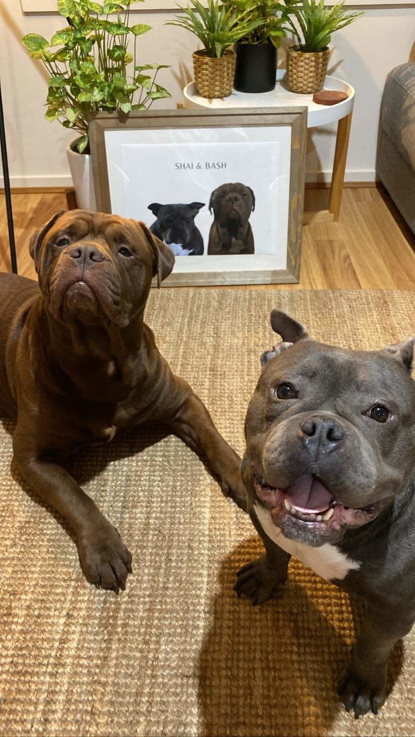 Customer photo review of Two-Pet Portrait