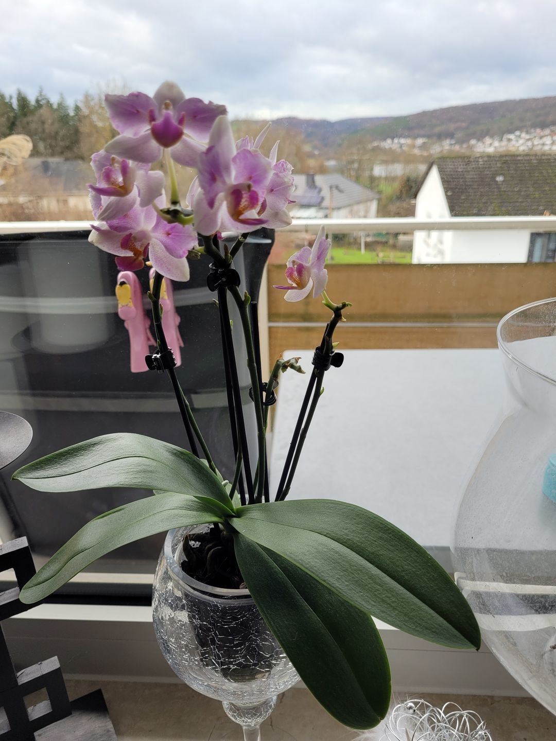 Customer photo review of Table Dance Pia mit rosa Blüten und 3+ Stielen