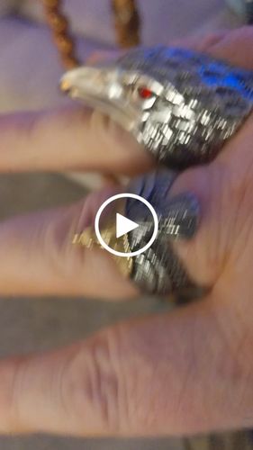 Customer video review of Raven Head Ring