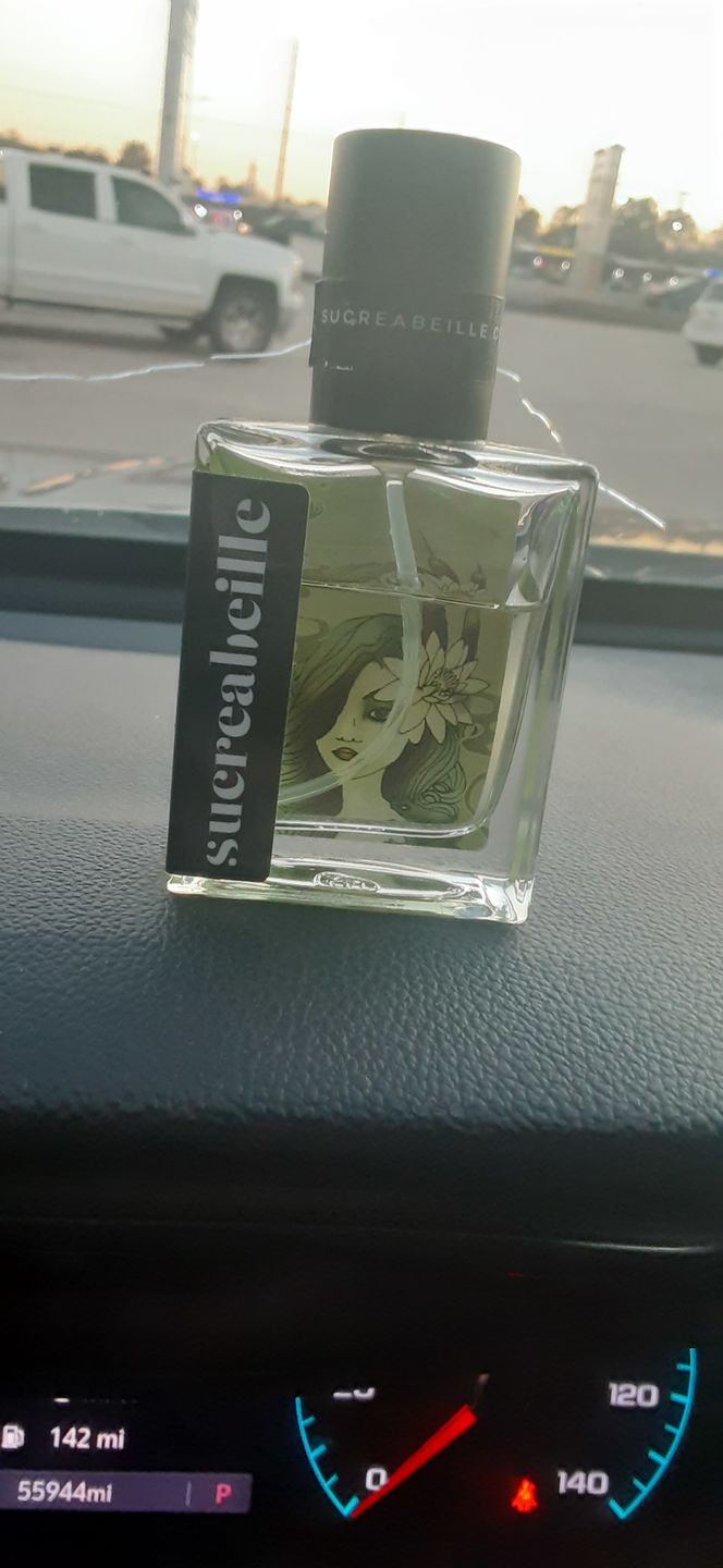 Customer photo review of Bog Witch
