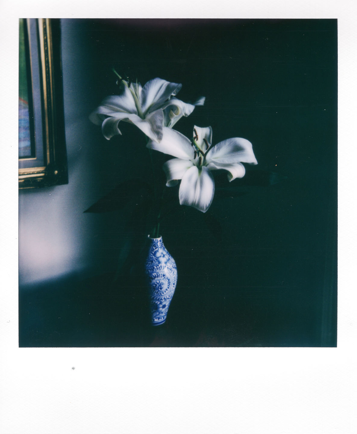 Customer photo review of Retrospekt SX-70 Remote Shutter Release (40 cm)