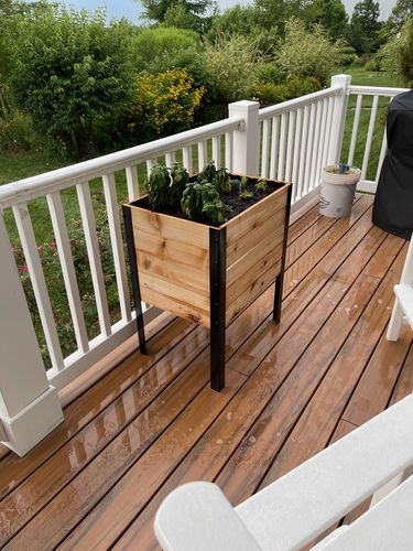 Customer photo review of 18″ x 24″ Raised Garden Bed - 30" Tall