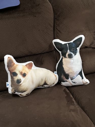 Customer photo review of Create A Custom Dog Pillow
