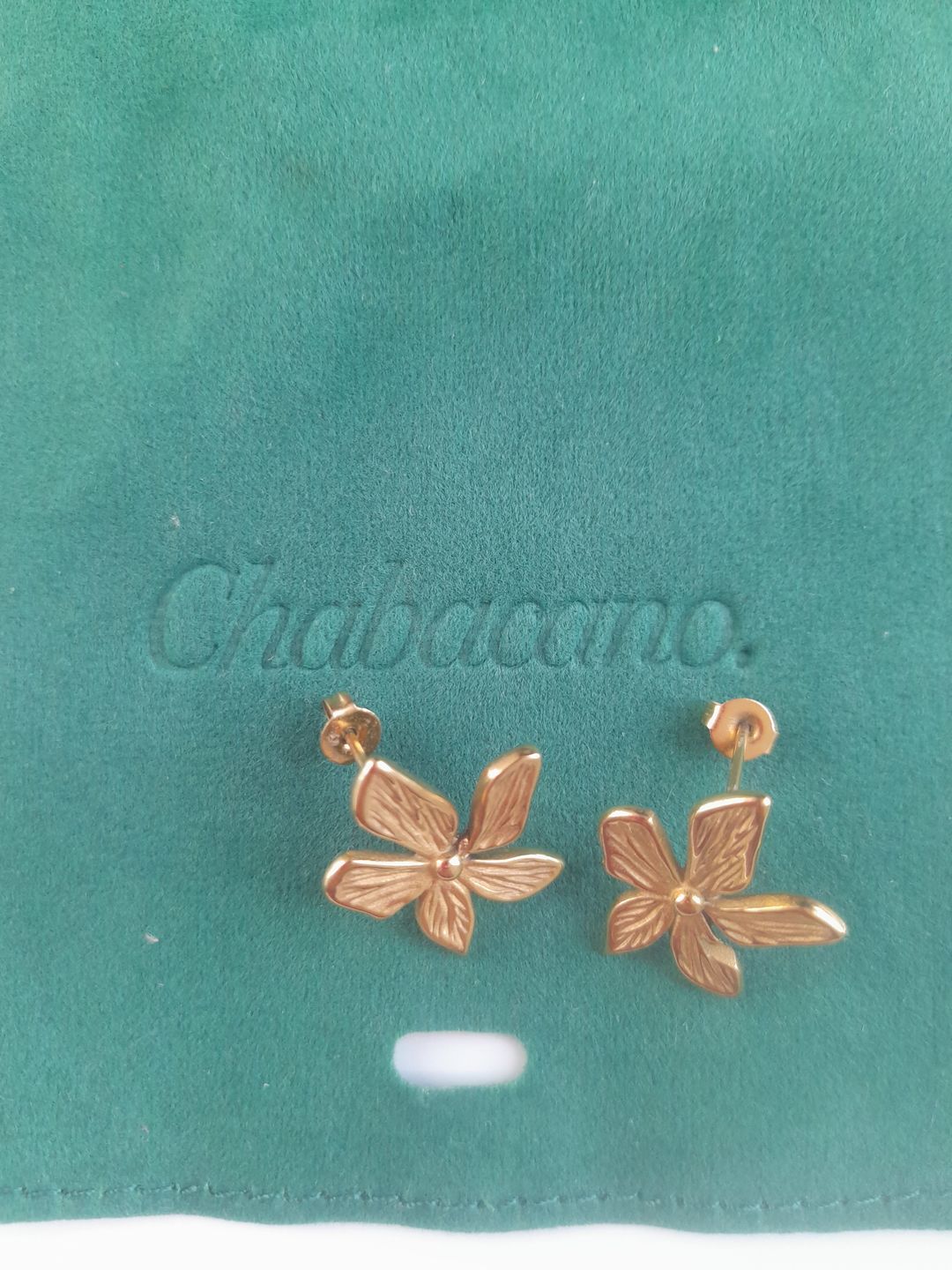 Customer photo review of Aretes Jasmine