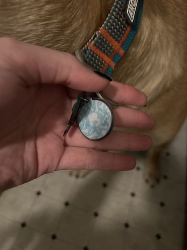 Customer photo review of Paw & Bones