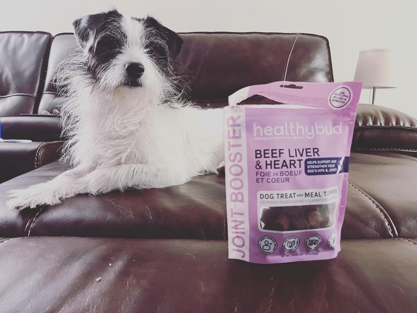 Customer photo review of Beef Joint Booster