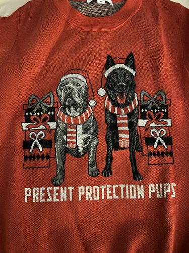 Customer photo review of Holiday Special Pet Custom Sweater