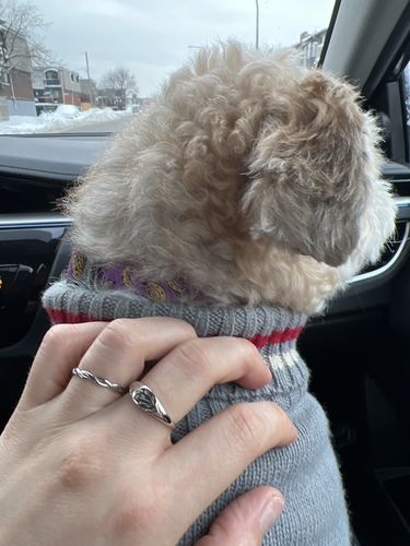 Customer photo review of Braided Ring - Gold
