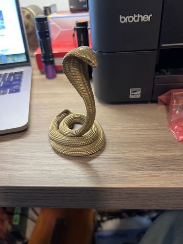 Customer photo review of Cobra Phone Stand