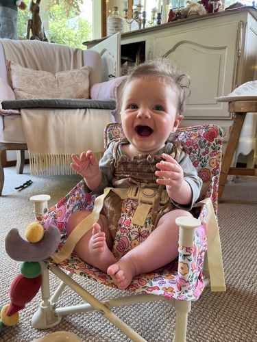 Customer photo review of Paloma baby chair