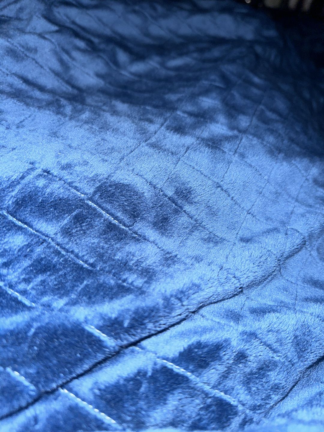 Customer photo review of Premium Balance Blanket