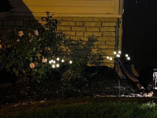Customer photo review of Solar Powered Fairy Lights