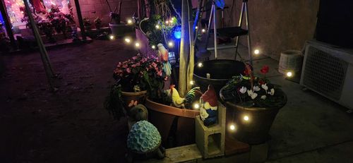 Customer photo review of Solar Powered Fairy Lights