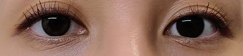 Customer photo review of See Through Kristin 1Day *NEW* - choco