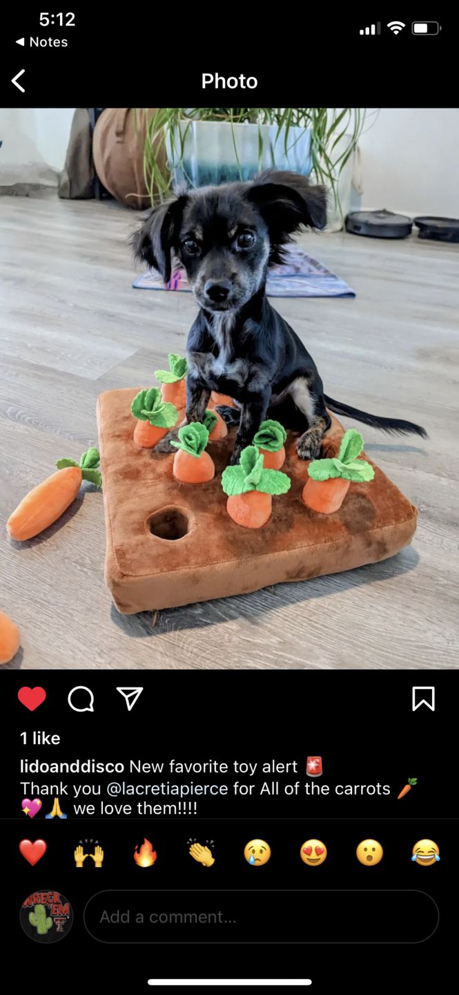 Customer photo review of Carrot Farm