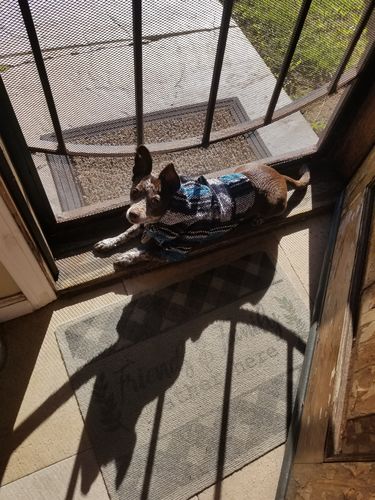 Customer photo review of Playa Poncho - Surprise Color