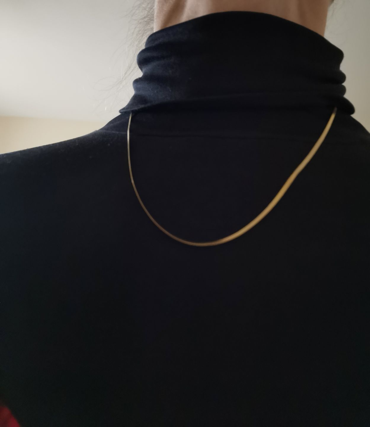 Customer photo review of Fine Essentials Necklace