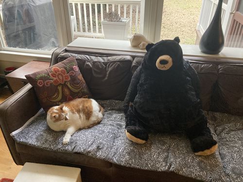 Customer photo review of SKOGGY BEAR