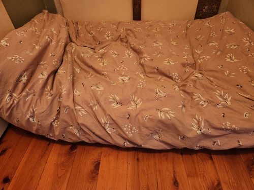 Customer photo review of Pawz Dog Memory Foam Mattress